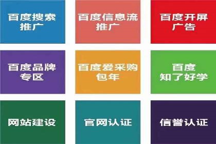 竞价广告策略案例分析